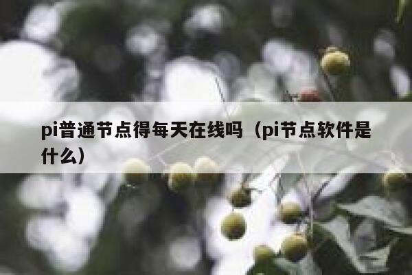 pi普通节点得每天在线吗(pi节点软件是什么) 第1张 pi普通节点得每天在线吗(pi节点软件是什么) 第1张