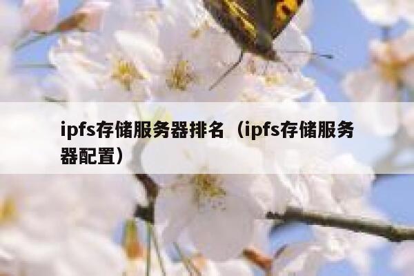 ipfs存储服务器排名（ipfs存储服务器配置） 第1张