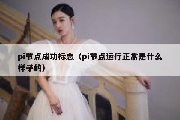pi节点成功标志（pi节点运行正常是什么样子的） 第1张