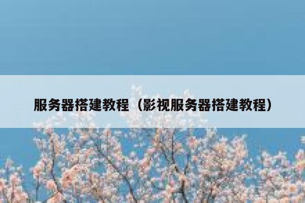 服务器搭建教程（影视服务器搭建教程） 第1张