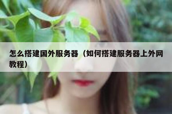 怎么搭建国外服务器（如何搭建服务器上外网教程） 第1张