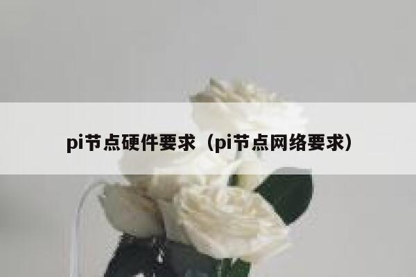 pi节点硬件要求(pi节点网络要求) 第1张 pi节点硬件要求(pi节点网络要求) 第1张