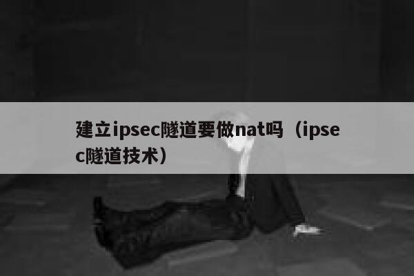 建立ipsec隧道要做nat吗（ipsec隧道技术） 第1张