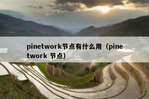 pinetwork节点有什么用(pinetwork 节点) 第1张 pinetwork节点有什么用(pinetwork 节点) 第1张