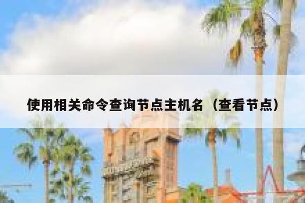 使用相关命令查询节点主机名(查看节点) 第1张 使用相关命令查询节点主机名(查看节点) 第1张
