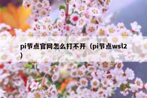 pi节点官网怎么打不开(pi节点wsl2) 第1张 pi节点官网怎么打不开(pi节点wsl2) 第1张