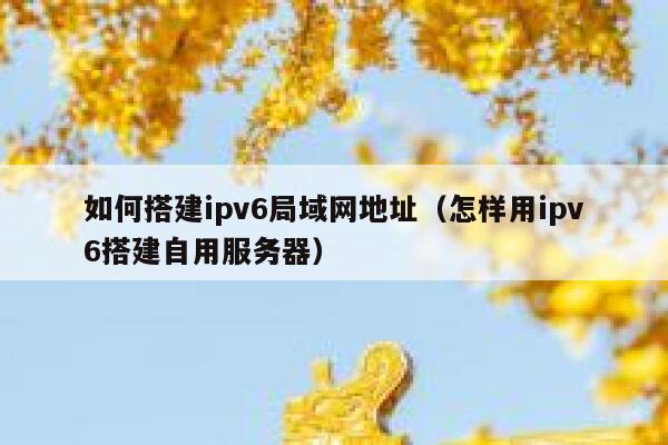 如何搭建ipv6局域网地址(怎样用ipv6搭建自用服务器) 第1张 如何搭建ipv6局域网地址(怎样用ipv6搭建自用服务器) 第1张