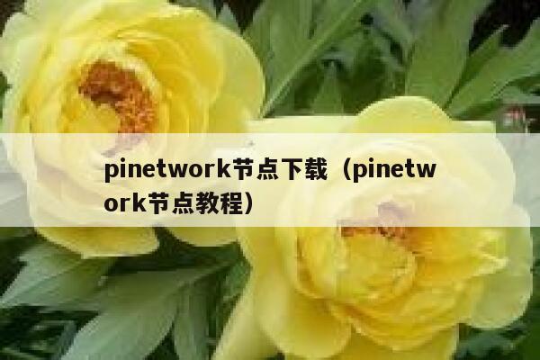 pinetwork节点下载(pinetwork节点教程) 第1张 pinetwork节点下载(pinetwork节点教程) 第1张