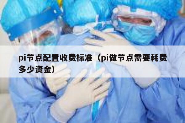 pi节点配置收费标准（pi做节点需要耗费多少资金） 第1张