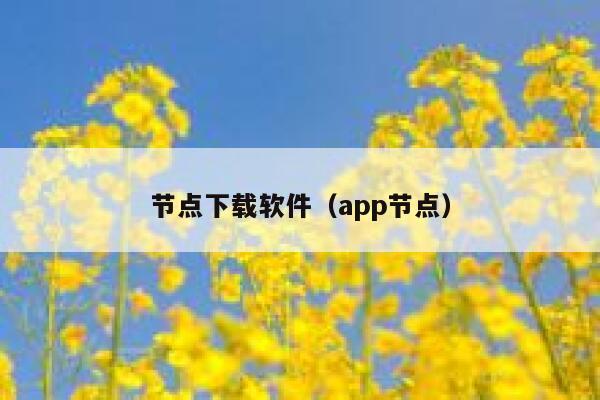节点下载软件（app节点） 第1张