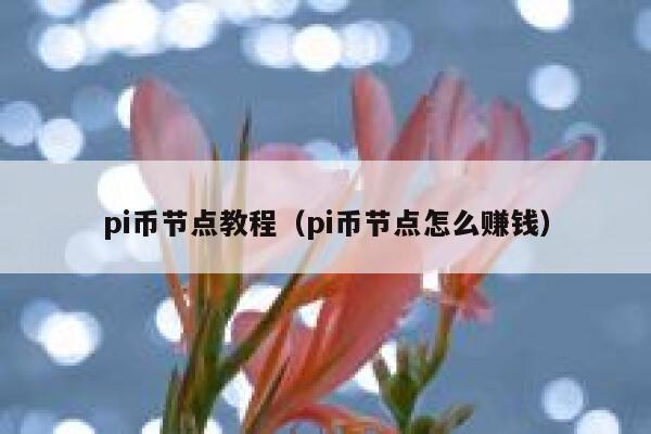 pi币节点教程(pi币节点怎么赚钱) 第1张 pi币节点教程(pi币节点怎么赚钱) 第1张