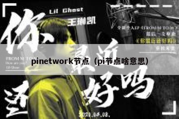 pinetwork节点（pi节点啥意思） 第1张