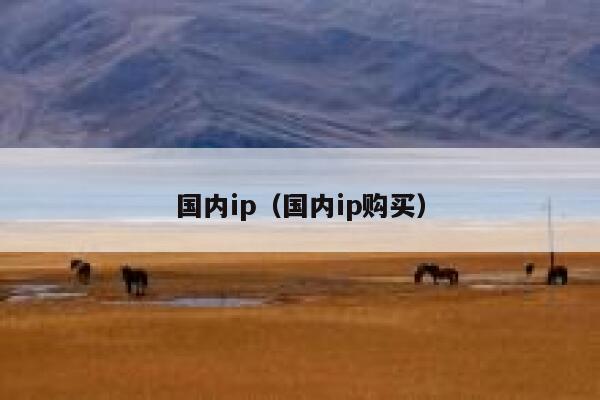 国内ip（国内ip购买） 第1张