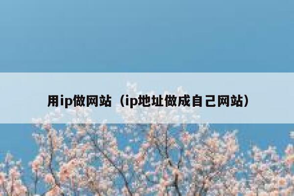 用ip做网站(ip地址做成自己网站) 第1张 用ip做网站(ip地址做成自己网站) 第1张