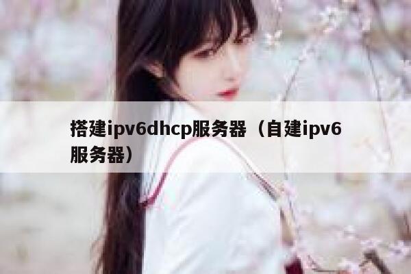 搭建ipv6dhcp服务器(自建ipv6服务器) 第1张 搭建ipv6dhcp服务器(自建ipv6服务器) 第1张