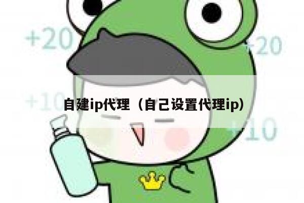 自建ip代理(自己设置代理ip) 第1张 自建ip代理(自己设置代理ip) 第1张