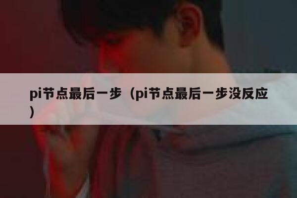 pi节点最后一步(pi节点最后一步没反应) 第1张 pi节点最后一步(pi节点最后一步没反应) 第1张