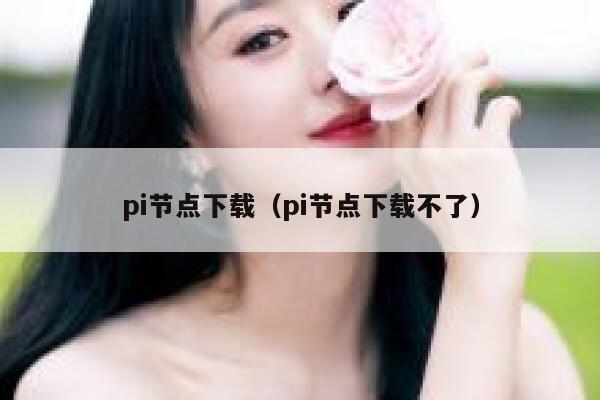 pi节点下载（pi节点下载不了） 第1张