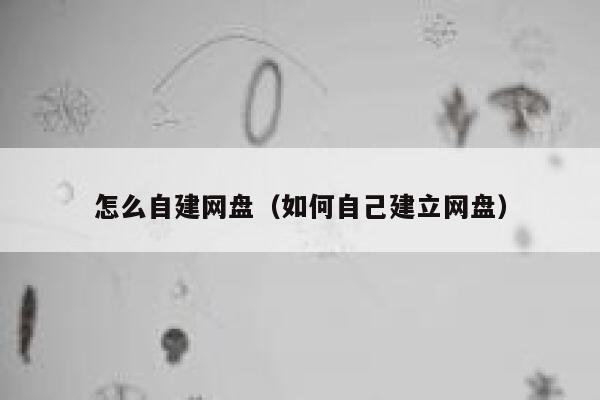 怎么自建网盘(如何自己建立网盘) 第1张 怎么自建网盘(如何自己建立网盘) 第1张