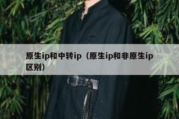 原生ip和中转ip（原生ip和非原生ip区别） 第1张