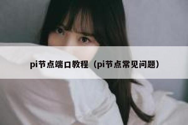 pi节点端口教程(pi节点常见问题) 第1张 pi节点端口教程(pi节点常见问题) 第1张