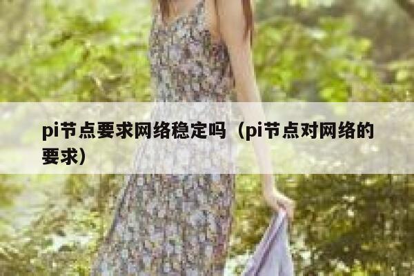 pi节点要求网络稳定吗(pi节点对网络的要求) 第1张 pi节点要求网络稳定吗(pi节点对网络的要求) 第1张