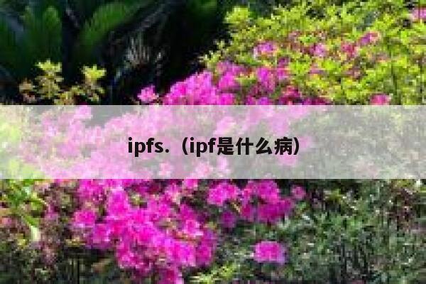 ipfs.（ipf是什么病） 第1张