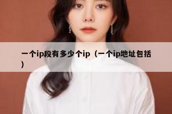 一个ip段有多少个ip(一个ip地址包括) 第1张 一个ip段有多少个ip(一个ip地址包括) 第1张