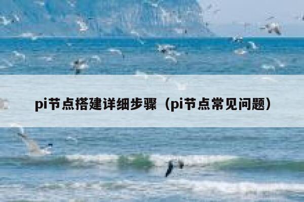 pi节点搭建详细步骤（pi节点常见问题） 第1张
