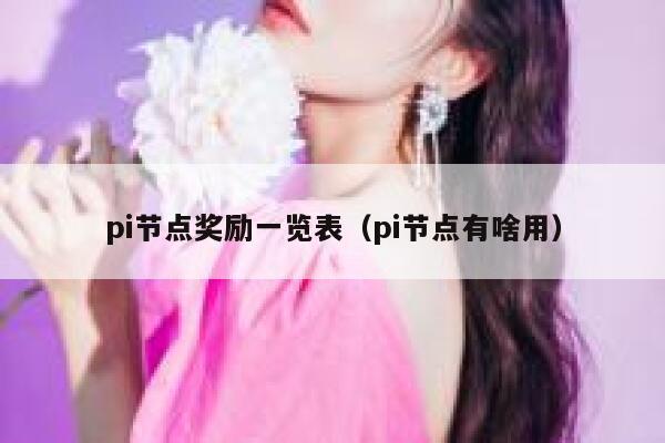pi节点奖励一览表（pi节点有啥用） 第1张