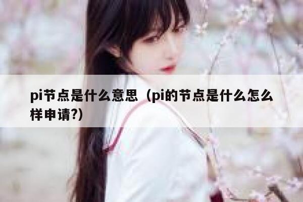 pi节点是什么意思（pi的节点是什么怎么样申请?） 第1张
