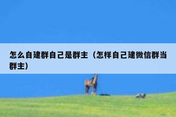 怎么自建群自己是群主（怎样自己建微信群当群主） 第1张