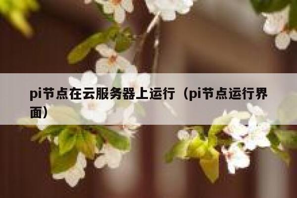 pi节点在云服务器上运行（pi节点运行界面） 第1张