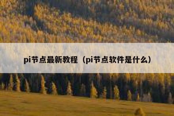 pi节点最新教程（pi节点软件是什么） 第1张