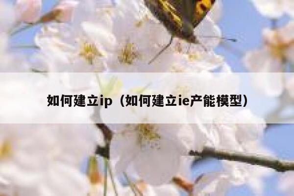 如何建立ip(如何建立ie产能模型) 第1张 如何建立ip(如何建立ie产能模型) 第1张