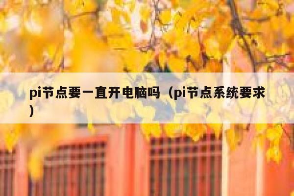 pi节点要一直开电脑吗（pi节点系统要求） 第1张