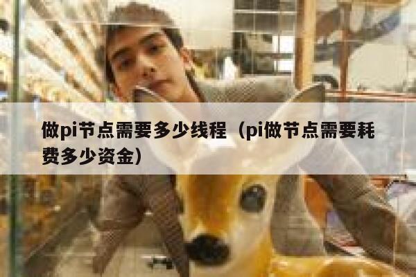 做pi节点需要多少线程(pi做节点需要耗费多少资金) 第1张 做pi节点需要多少线程(pi做节点需要耗费多少资金) 第1张