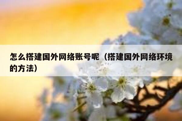 怎么搭建国外网络账号呢（搭建国外网络环境的方法） 第1张
