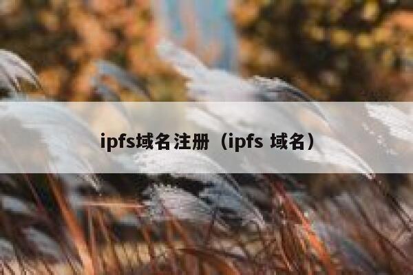 ipfs域名注册(ipfs 域名) 第1张 ipfs域名注册(ipfs 域名) 第1张