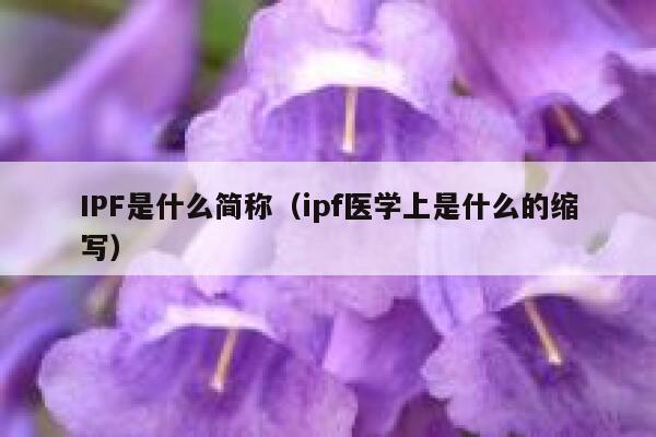 IPF是什么简称(ipf医学上是什么的缩写) 第1张 IPF是什么简称(ipf医学上是什么的缩写) 第1张