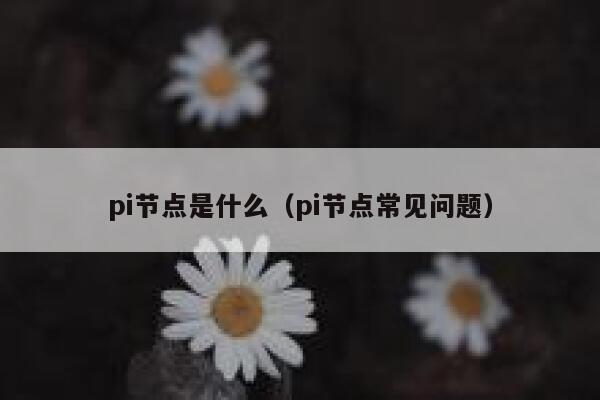 pi节点是什么(pi节点常见问题) 第1张 pi节点是什么(pi节点常见问题) 第1张