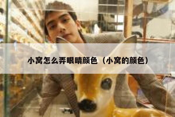 小窝怎么弄眼睛颜色(小窝的颜色) 第1张 小窝怎么弄眼睛颜色(小窝的颜色) 第1张