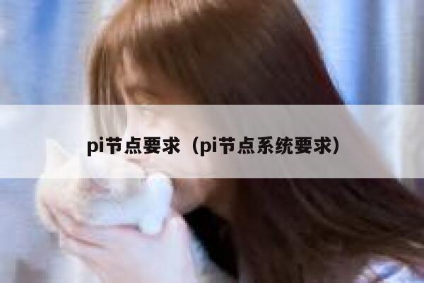 pi节点要求(pi节点系统要求) 第1张 pi节点要求(pi节点系统要求) 第1张