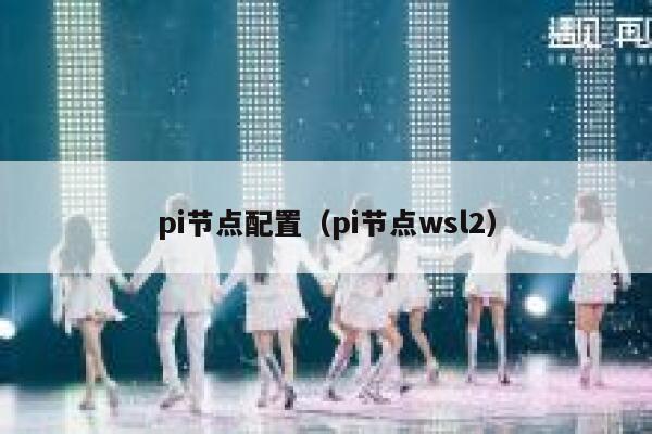 pi节点配置（pi节点wsl2） 第1张