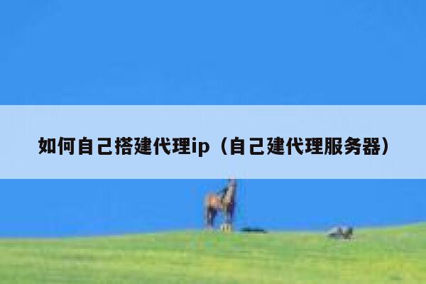 如何自己搭建代理ip(自己建代理服务器) 第1张 如何自己搭建代理ip(自己建代理服务器) 第1张