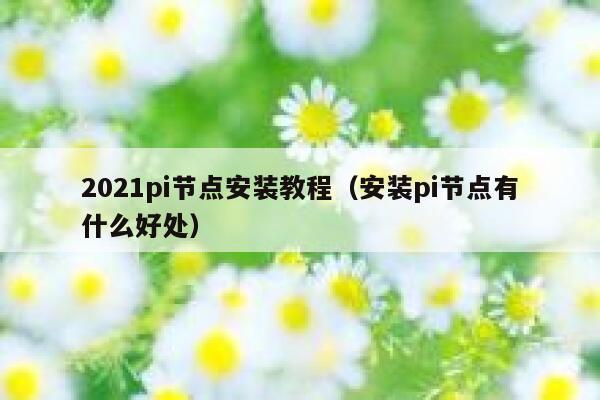 2021pi节点安装教程（安装pi节点有什么好处） 第1张