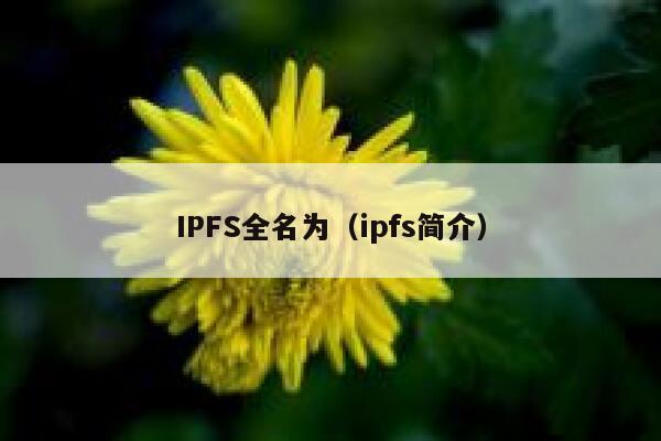 IPFS全名为(ipfs简介) 第1张 IPFS全名为(ipfs简介) 第1张