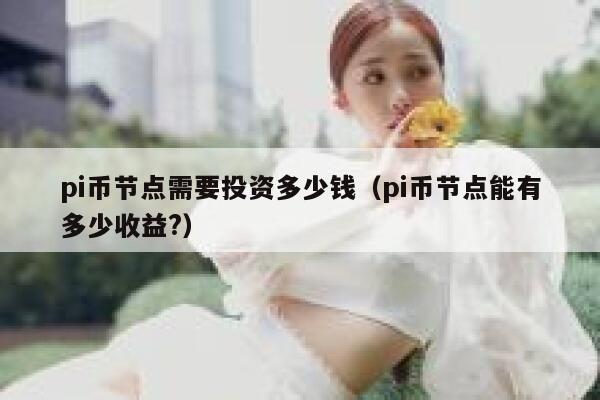pi币节点需要投资多少钱(pi币节点能有多少收益?) 第1张 pi币节点需要投资多少钱(pi币节点能有多少收益?) 第1张