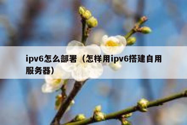 ipv6怎么部署(怎样用ipv6搭建自用服务器) 第1张 ipv6怎么部署(怎样用ipv6搭建自用服务器) 第1张