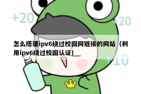 怎么搭建ipv6绕过校园网链接的网站(利用ipv6绕过校园认证) 第1张 怎么搭建ipv6绕过校园网链接的网站(利用ipv6绕过校园认证) 第1张